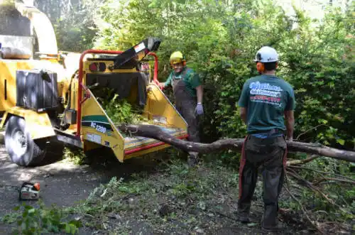 tree services West End-Cobb Town